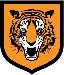 Hull City Ladies